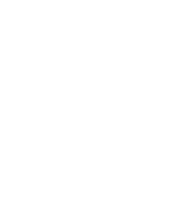 Regional Experience